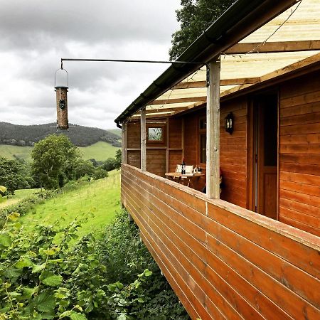 Cabin Pren , Darowen , Machynlleth Lägenhet Exteriör bild