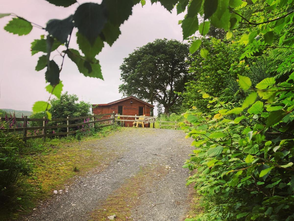 Cabin Pren , Darowen , Machynlleth Lägenhet Exteriör bild